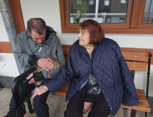 Zvířecí terapie, která vykouzlí úsměv